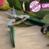 GTO-FFS-Fruit-Snip-LARGEbadge.jpg