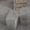 DSC06629.JPG