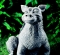 7332_2.tif