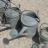 DSC05797.JPG
