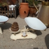 DSC06324.JPG