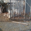 DSC06237.JPG